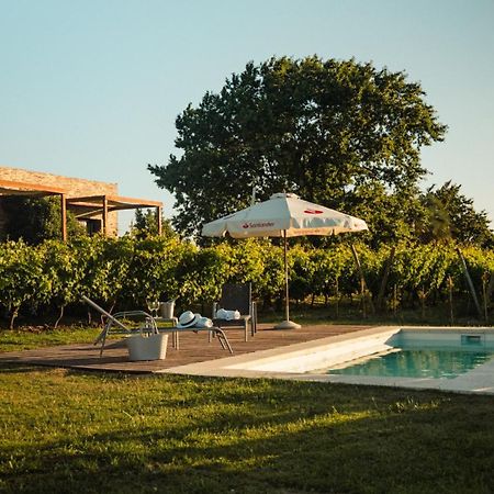 Pizzorno Lodge & Wine Progreso Экстерьер фото