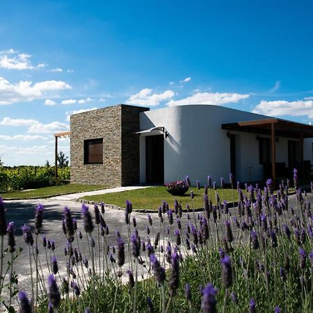 Pizzorno Lodge & Wine Progreso Экстерьер фото