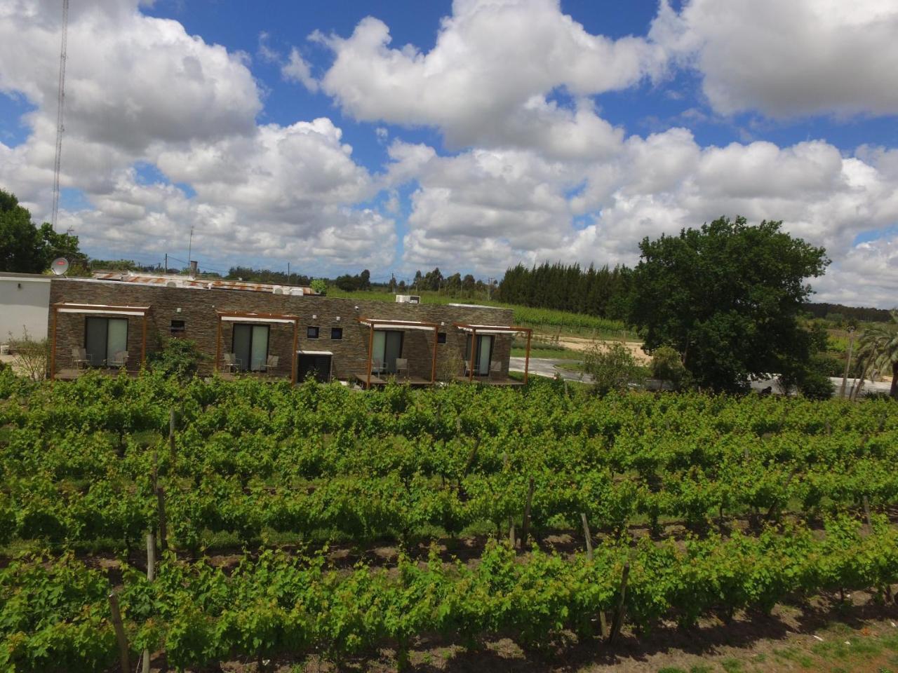 Pizzorno Lodge & Wine Progreso Экстерьер фото