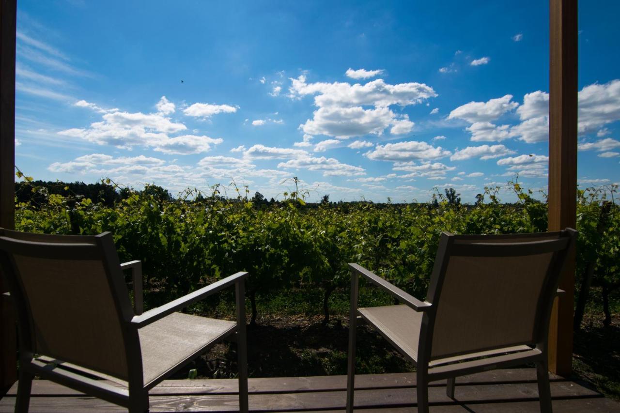 Pizzorno Lodge & Wine Progreso Экстерьер фото
