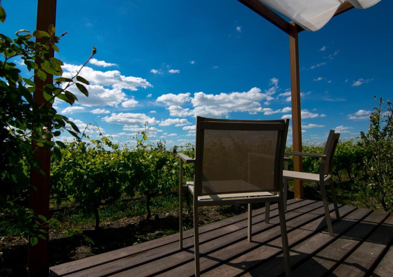 Pizzorno Lodge & Wine Progreso Экстерьер фото