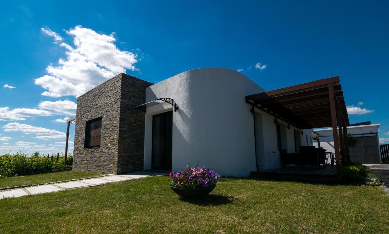 Pizzorno Lodge & Wine Progreso Экстерьер фото