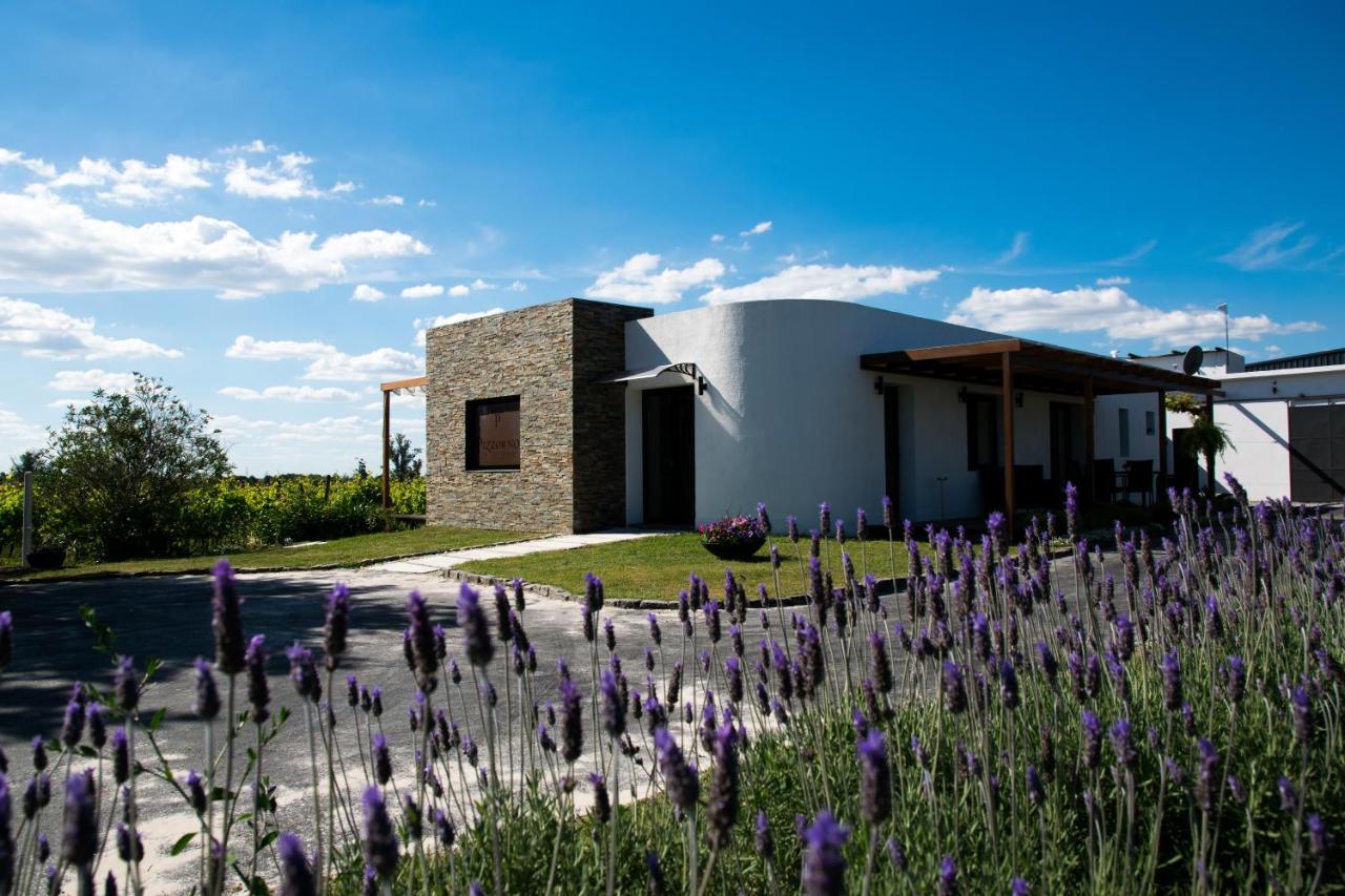 Pizzorno Lodge & Wine Progreso Экстерьер фото
